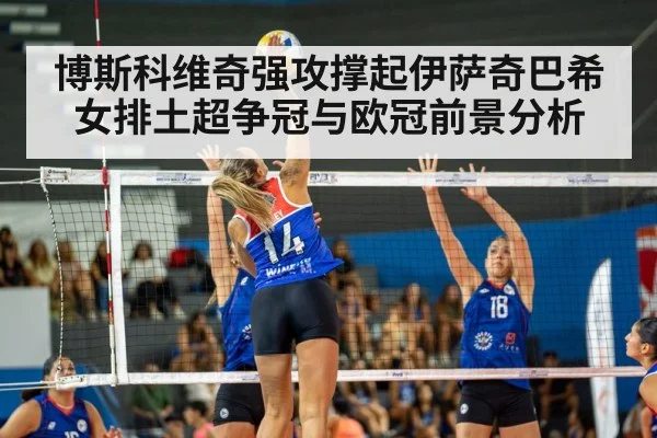 volleyball match arena